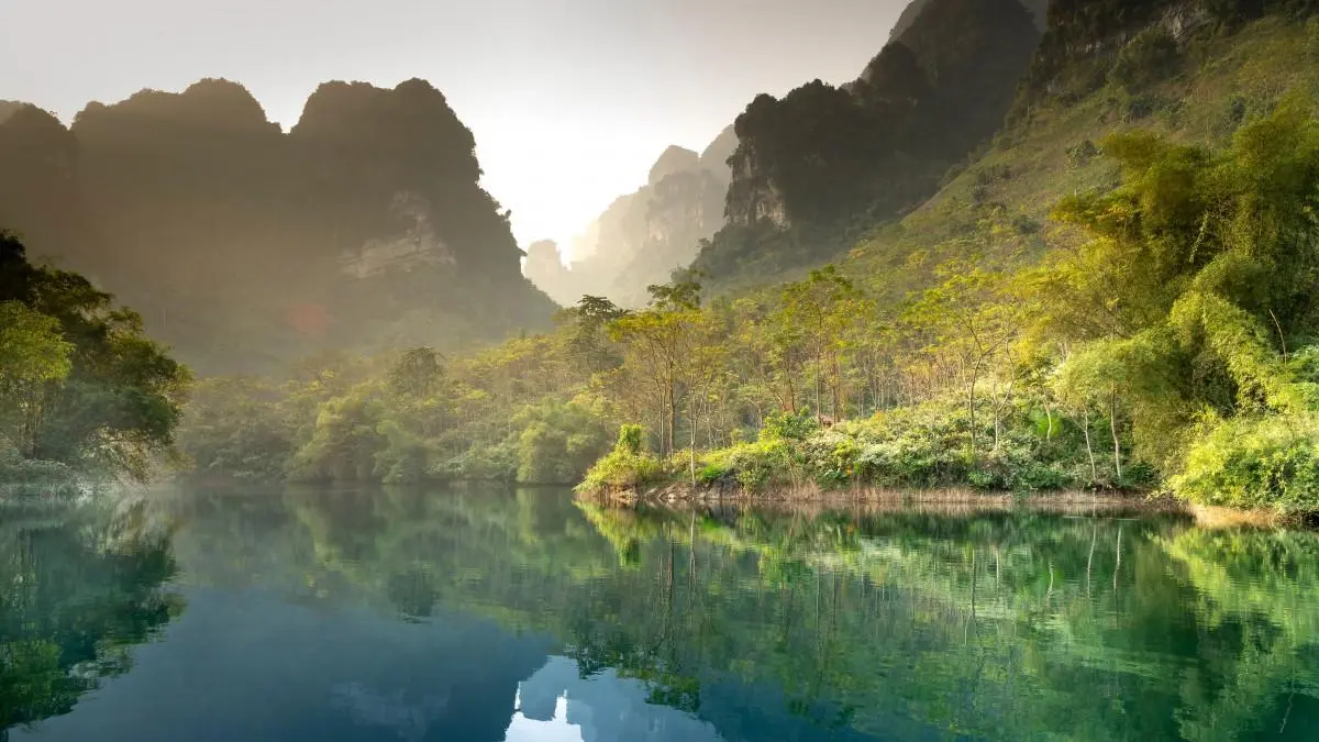 创新高端